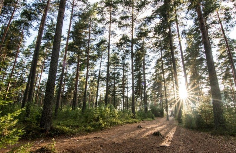 Bos Rådastrands Camping