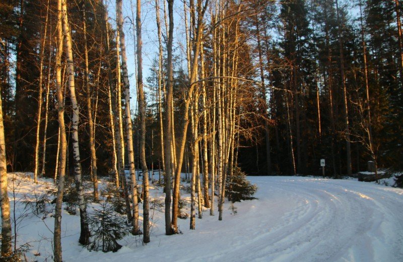 Winter in Zweden