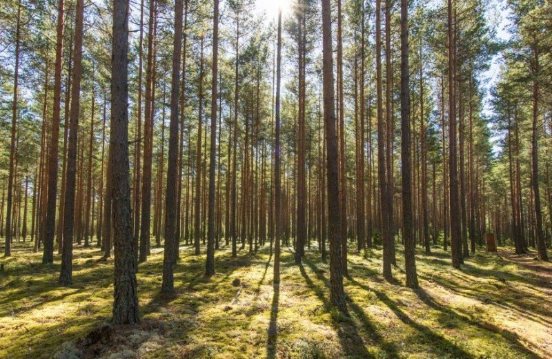 GPS dropping Rådastrands Camping