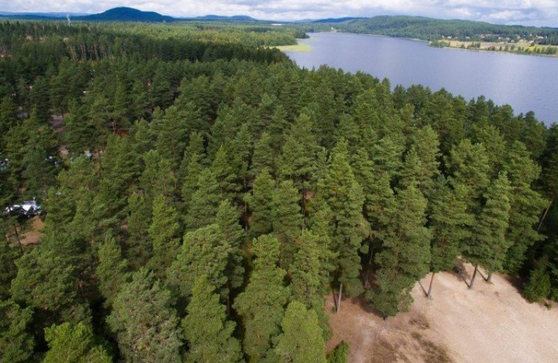 Omgeving camping meer